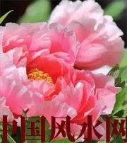 拉萨预示你财运上升，姻缘可成的梦境，快来看看吧！