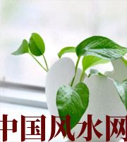 拉萨家中摆放六种吉祥物，会打开您的财运大门！