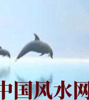 拉萨做梦梦到这些，是要富裕的征兆！